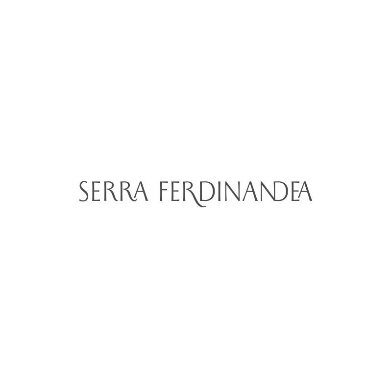 Serra Ferdinandea - Inycon 2026
