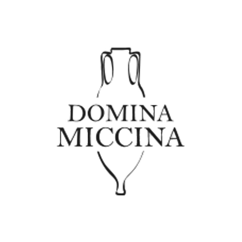 Domina Miccina - Inycon 2026