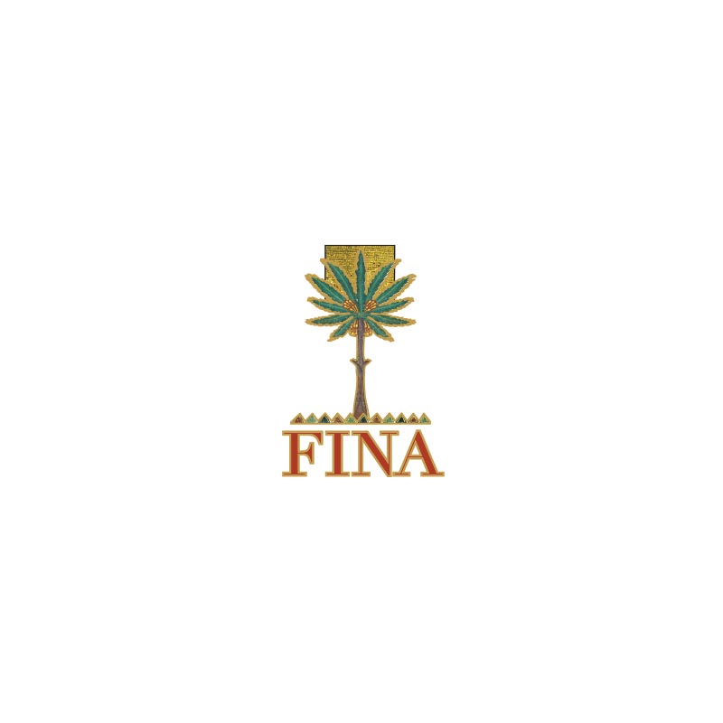 Fina - Inycon 2026